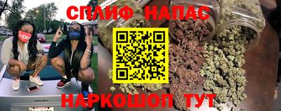 прущие грибы Новокубанск