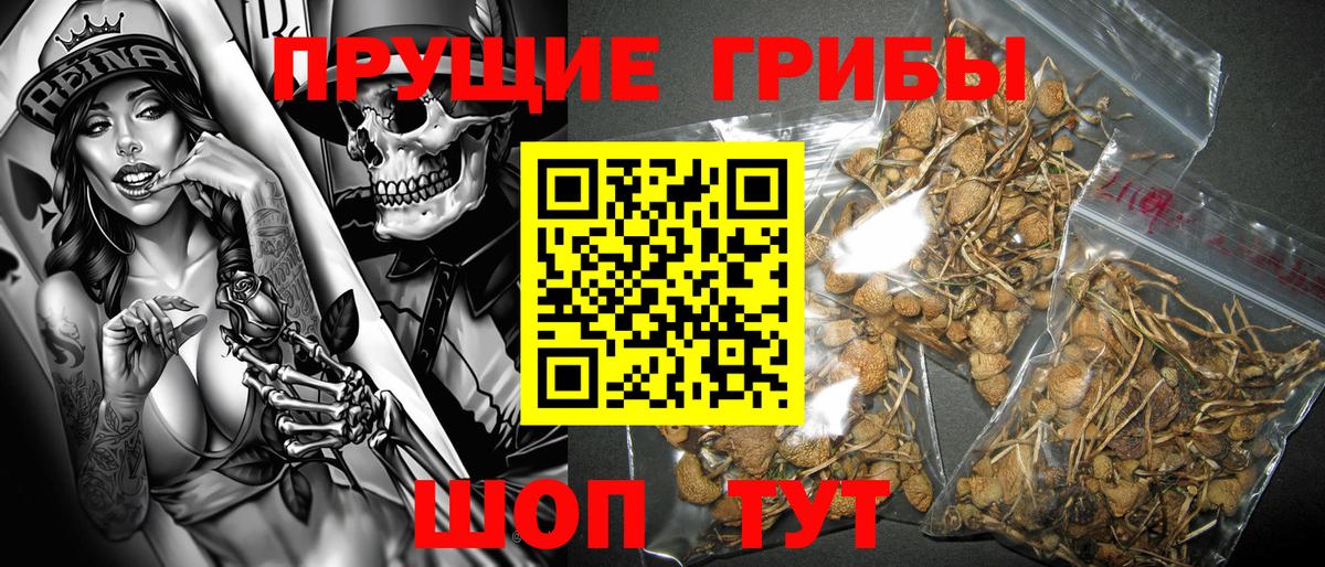 Псилоцибиновые грибы MAGIC MUSHROOMS  Галлюциногенные грибы Magic Shrooms  Тамбов  Вход с VPN 